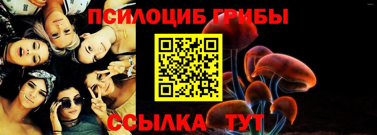 Галлюциногенные грибы Psilocybe  Вход с VPN  Кемерово  Галлюциногенные грибы прущие грибы 